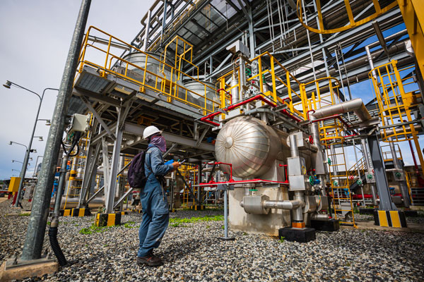 API/Plant Inspection