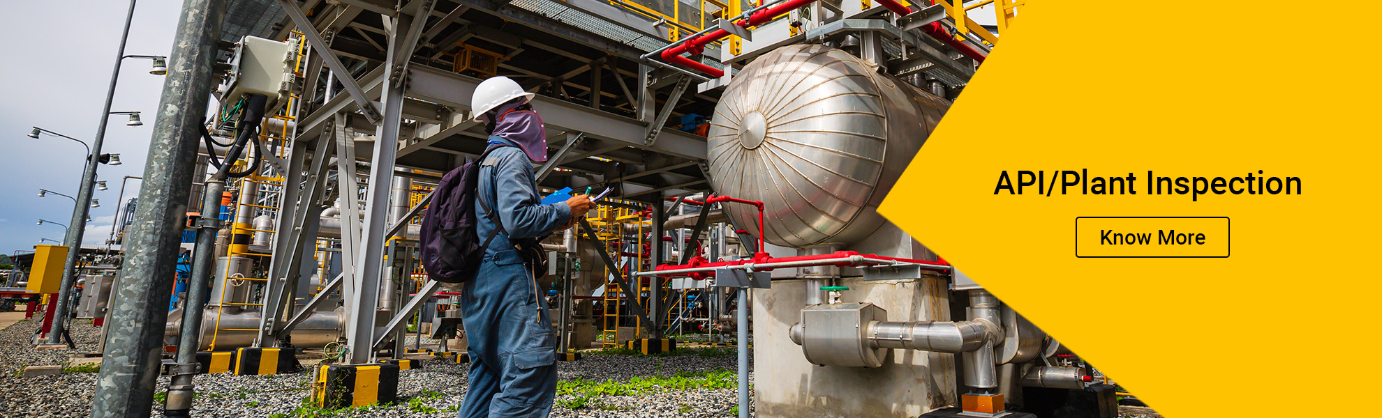 TBS API plant inspection